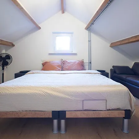 Bed and breakfast New! Nightglow Residency *