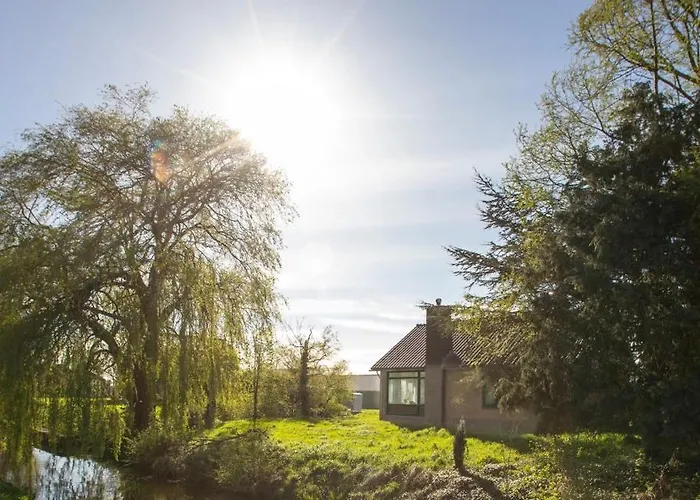 New! Nightglow Residency 阿斯米尔