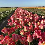 New! Nightglow Residency Bed & Breakfast 4*